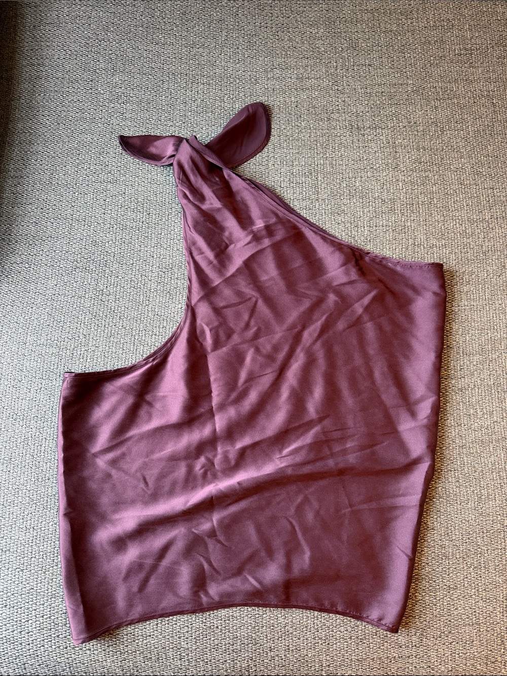Ramy Brook One-Shoulder Halter Top in Plum
